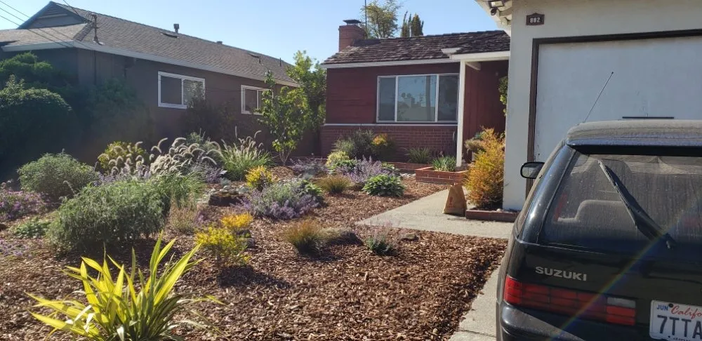 Top-rated yard cleanup service with custom design across San Leandro, CA - The Garden Girls