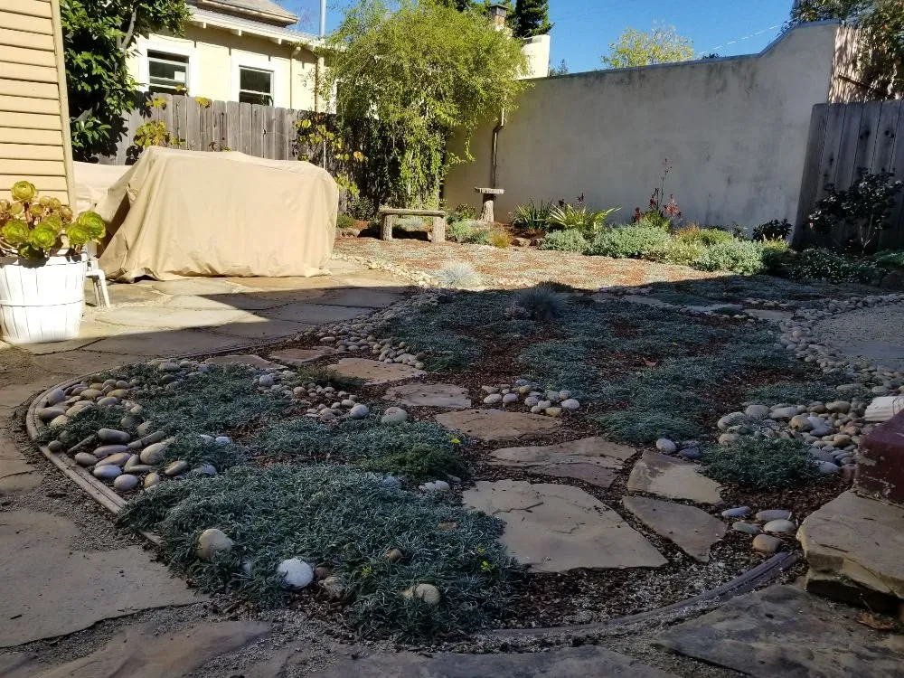Professional landscape installation for beautiful yards in San Leandro, CA by The Garden Girls