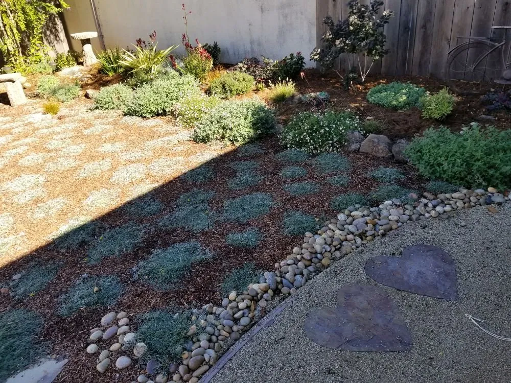 Professional yard cleanup service experts serving San Leandro, CA - The Garden Girls