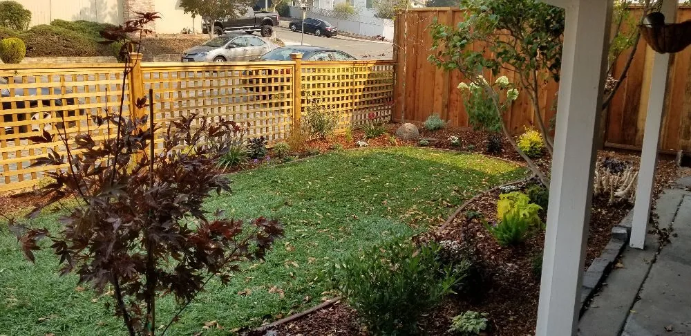 Top-rated yard maintenance near you across San Leandro, CA - The Garden Girls