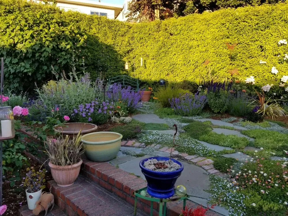 Reliable residential landscaping experts serving San Leandro, CA - The Garden Girls