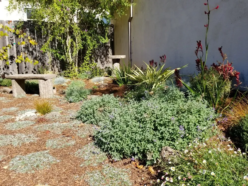 Local lawn care service for residential properties in San Leandro, CA by The Garden Girls