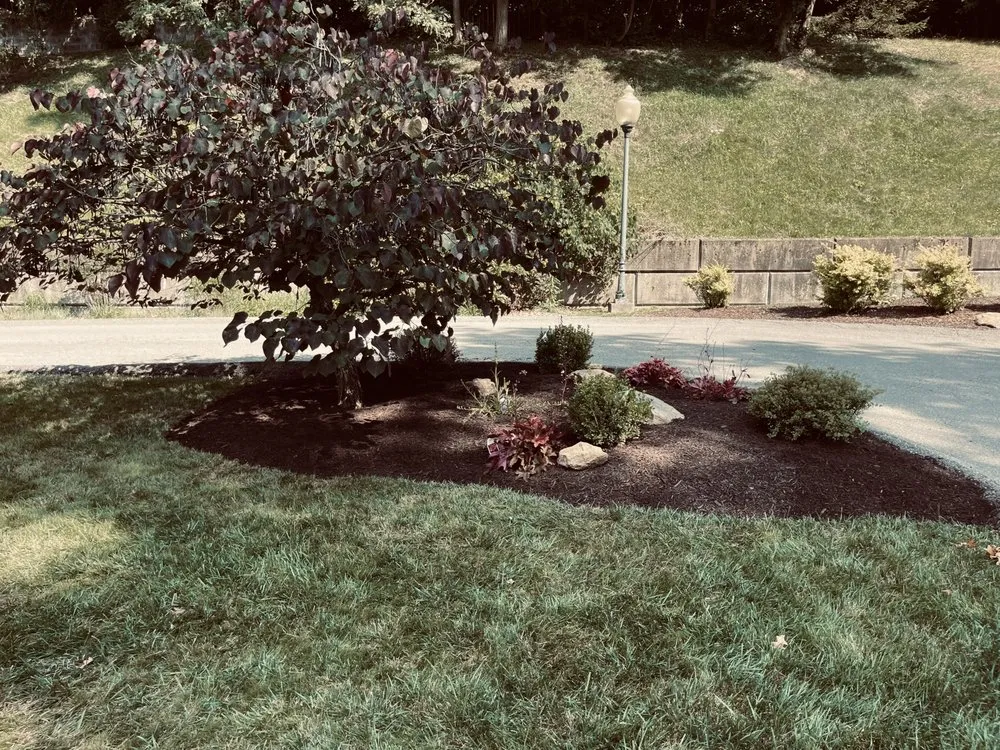 Affordable yard cleanup service experts serving Fairmont, WV - The Garden Gnome