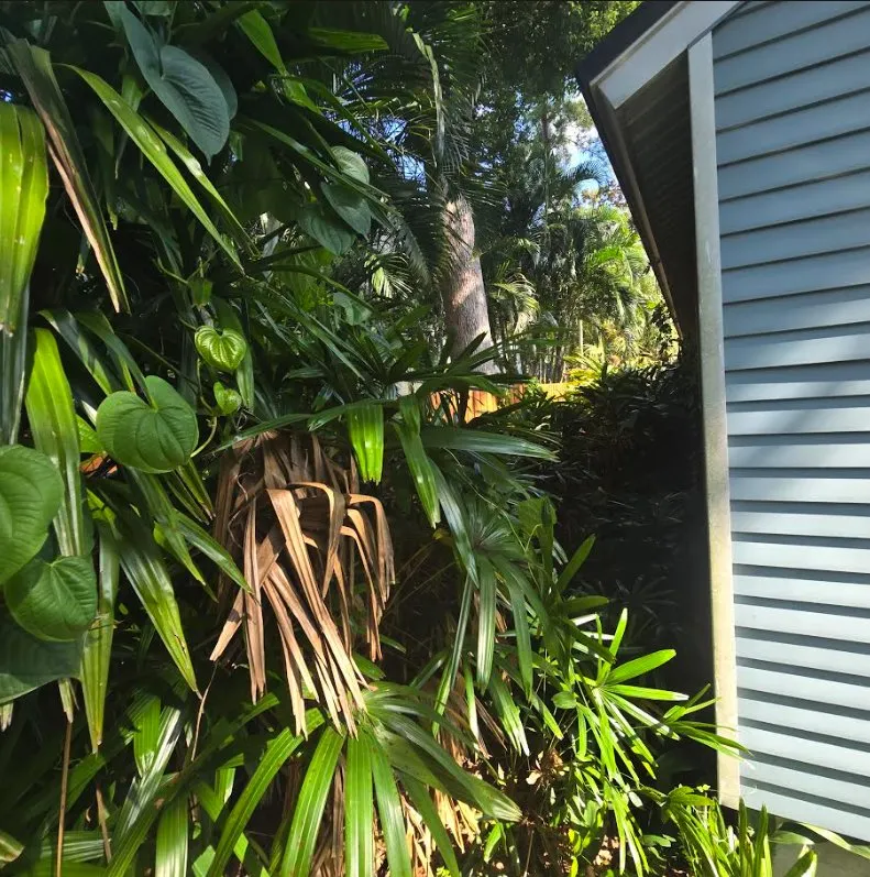 Reliable outdoor landscaping experts serving Winter Park, FL - The Garden Gnomes