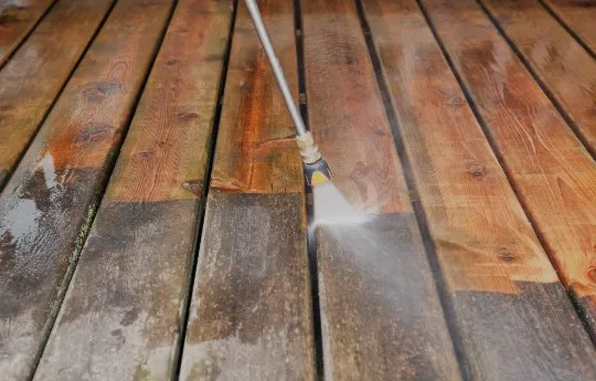 The Garden Gnomes Logo