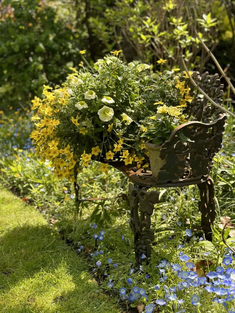 Reliable garden landscaping near you across Nantucket, MA - The Garden Group