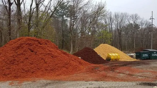 The Garden House Logo