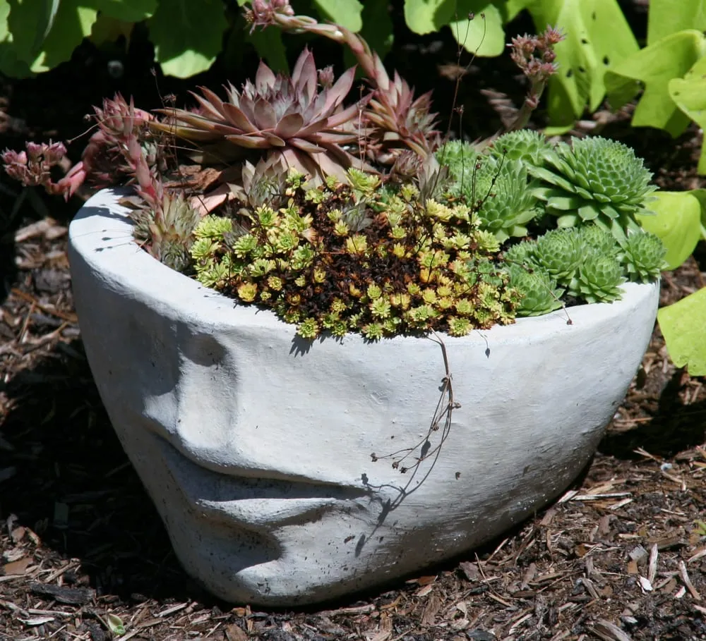 Custom yard maintenance experts serving Mansfield, MA - The Garden Lady