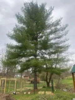 Affordable landscape installation in Clarksburg, WV - The Garden Lawn Care