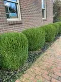 Reliable yard maintenance experts serving Clarksburg, WV - The Garden Lawn Care