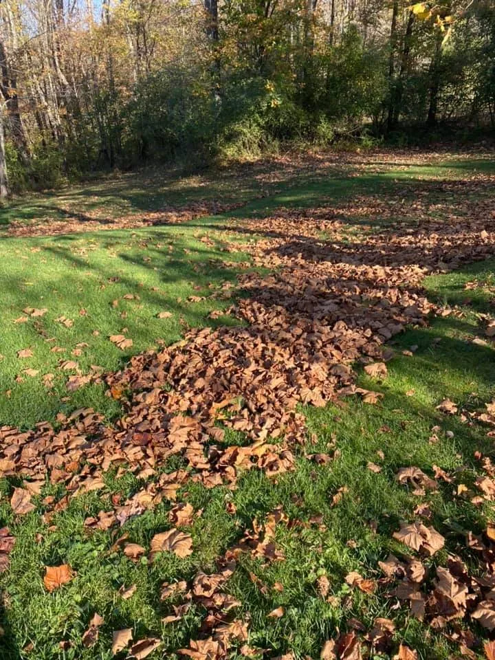 Professional garden landscaping in Clarksburg, WV - The Garden Lawn Care