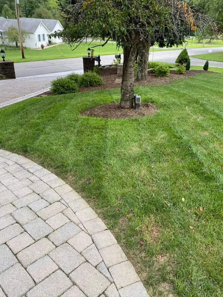 Trusted landscaping services for homes across Clarksburg, WV - The Garden Lawn Care