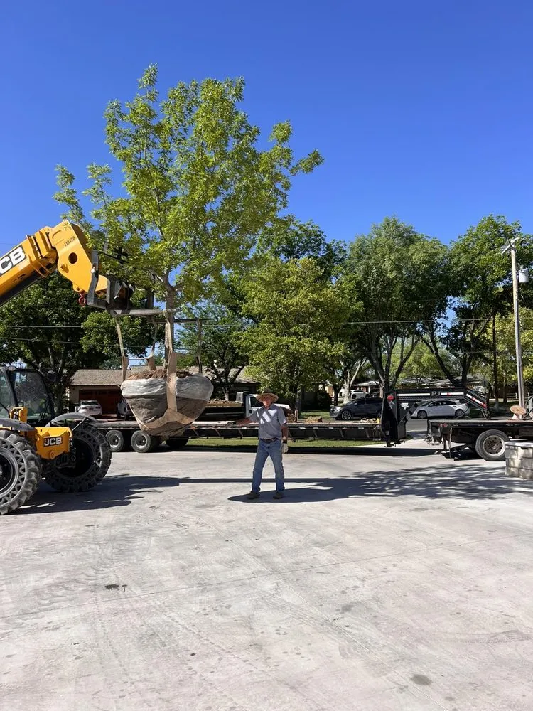 Affordable landscape design in Carlsbad, NM - The Garden Mart