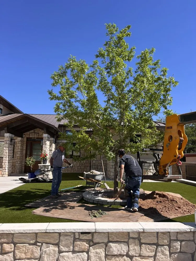 Expert yard maintenance experts serving Carlsbad, NM - The Garden Mart