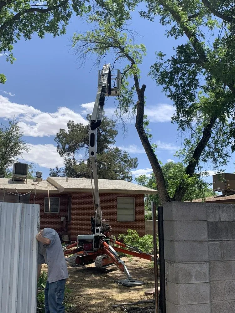 Trusted landscape design for outdoor upgrades across Carlsbad, NM - The Garden Mart