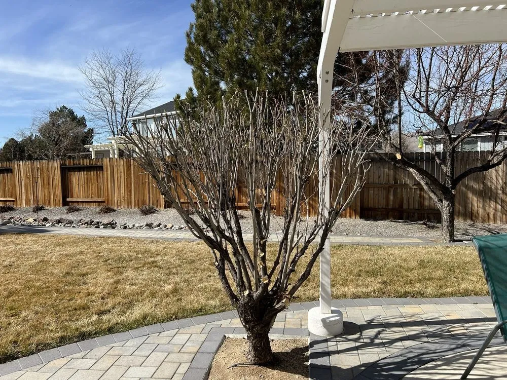Reliable landscape installation experts serving Sparks, NV - The Garden of Eden