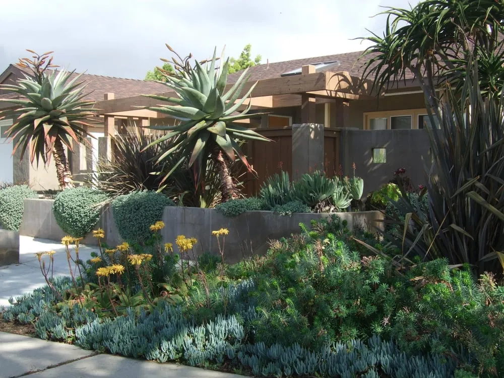 Professional landscaping services for year-round maintenance in Garden Grove, CA by The Garden Path