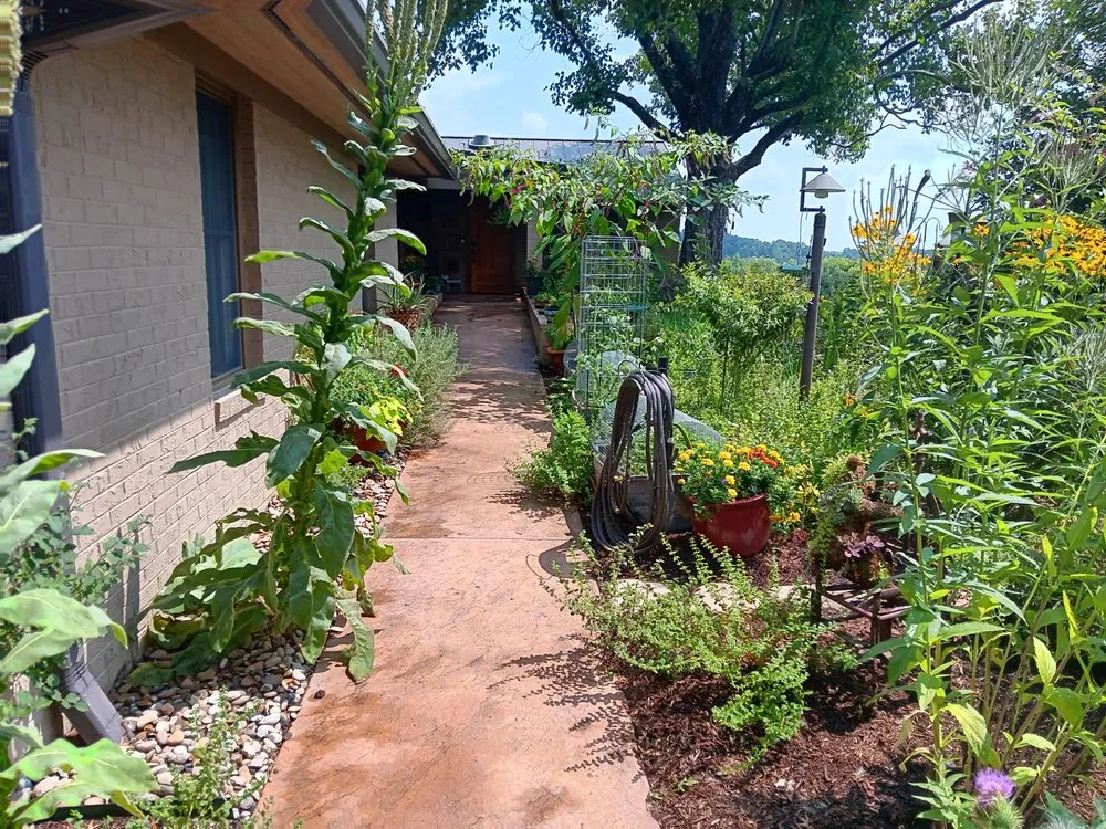 Affordable yard cleanup service for homes in Abingdon, VA by The Garden Project