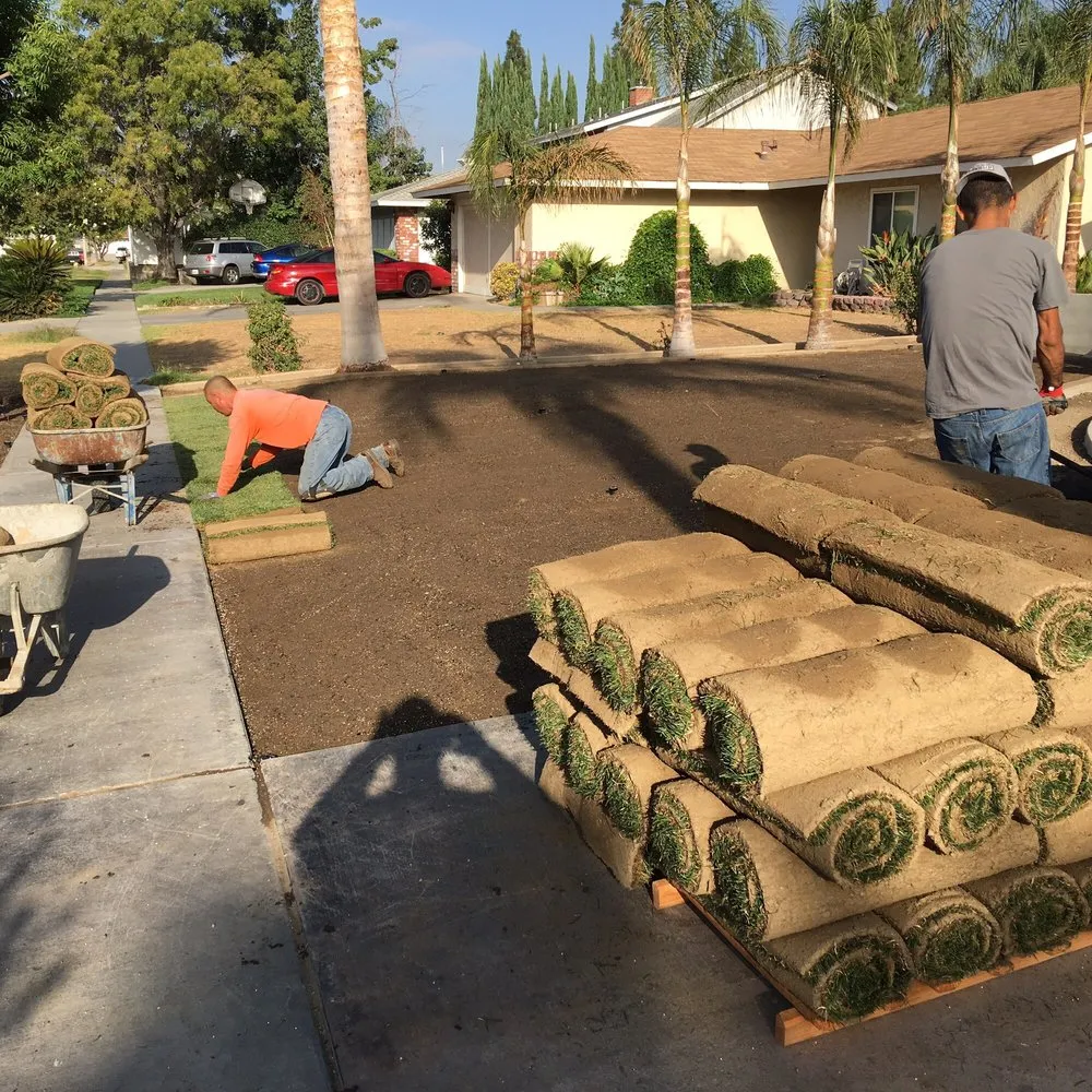 Top-rated yard cleanup service with custom design in Rialto, CA by The Garden