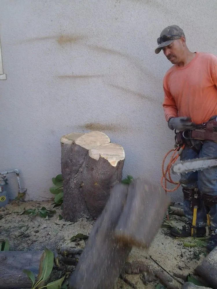 Trusted lawn mowing service experts serving Rialto, CA - The Garden