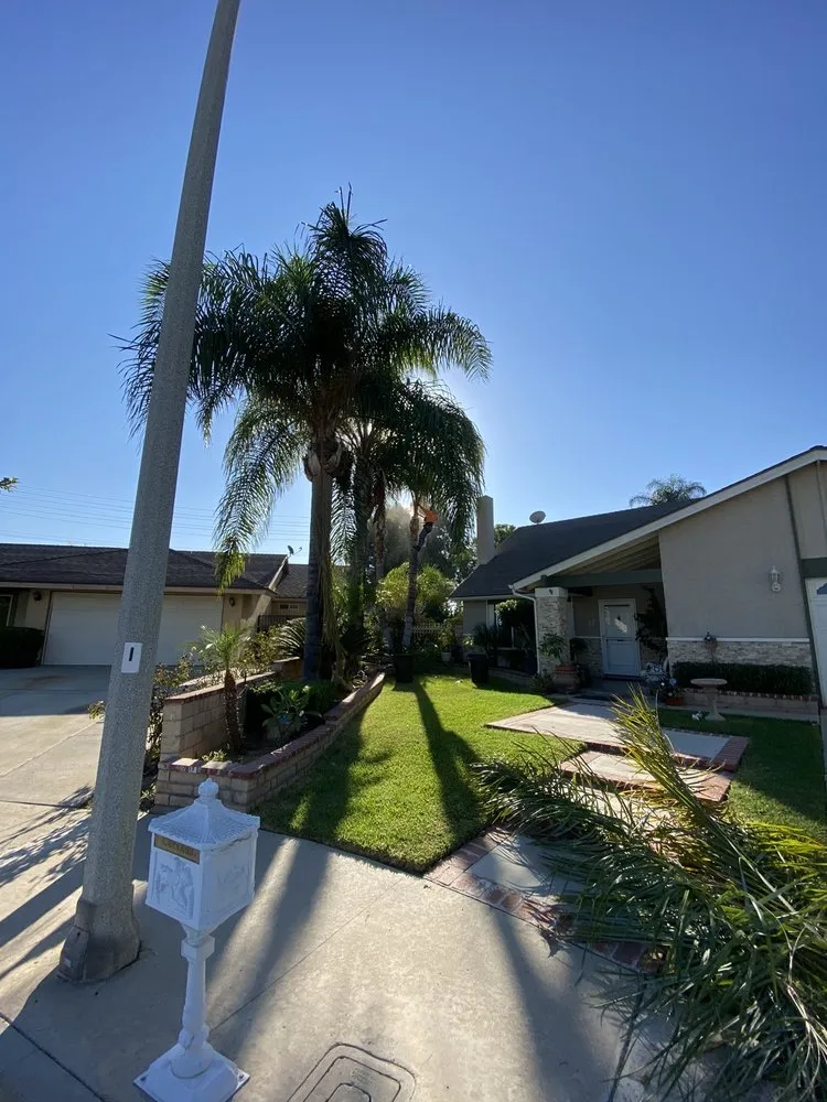 Top-rated lawn care service experts serving Rialto, CA - The Garden