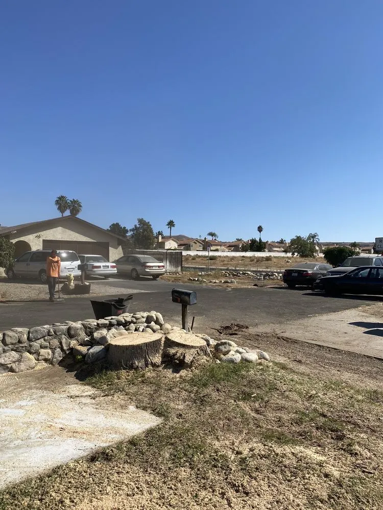 Professional landscape design experts serving Rialto, CA - The Garden