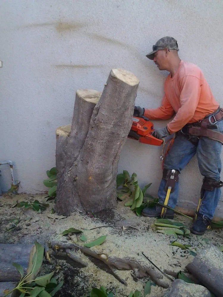 Custom lawn mowing service for homes across Rialto, CA - The Garden