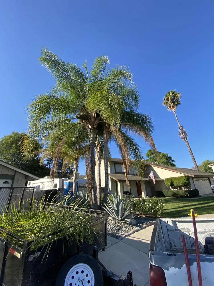 Trusted garden landscaping experts serving Rialto, CA - The Garden