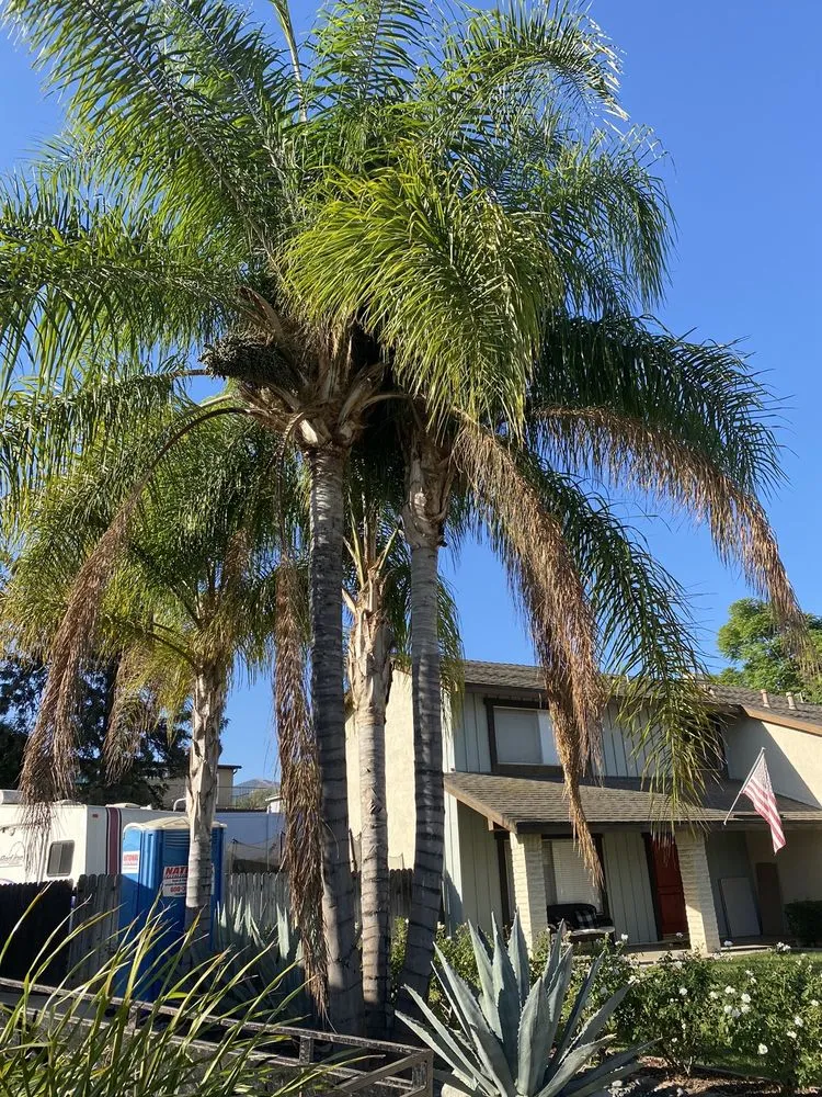 Trusted garden landscaping in Rialto, CA by The Garden