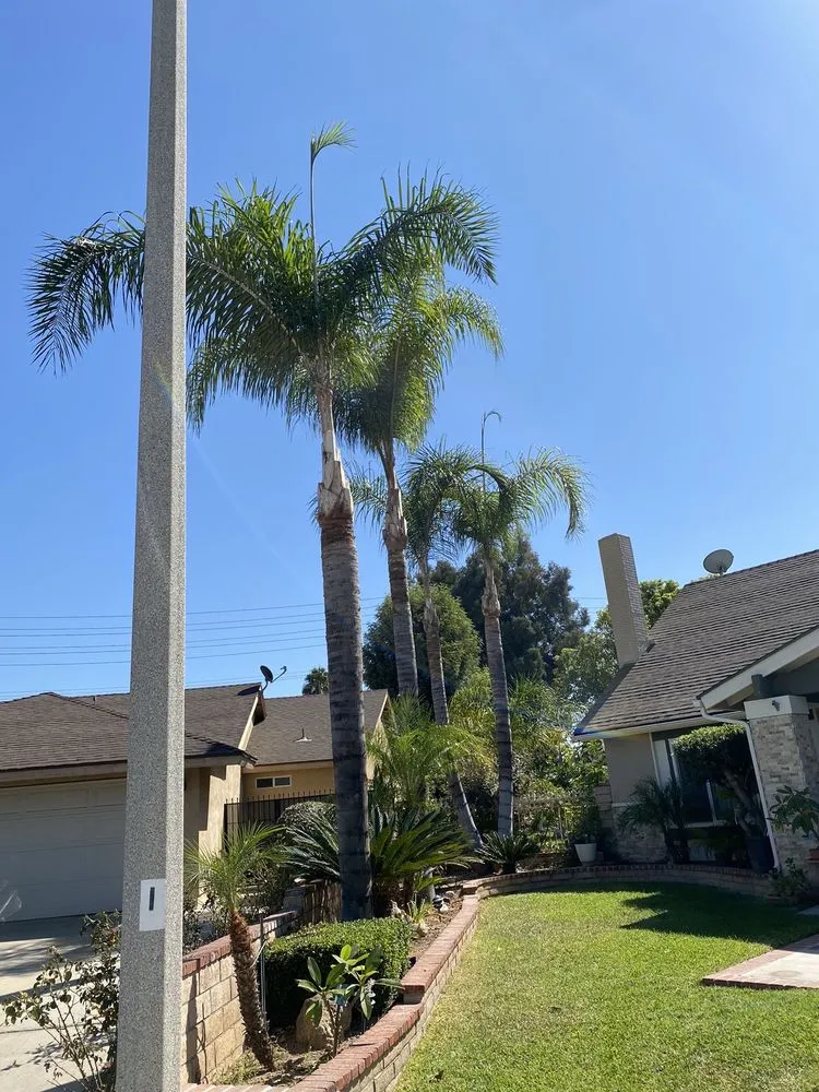 Trusted landscaping services for homes across Rialto, CA - The Garden