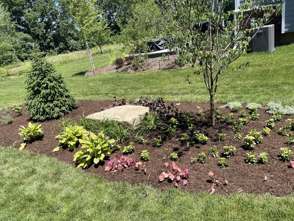 Custom yard cleanup service for year-round maintenance across Ann Arbor, MI - The Garden Shark