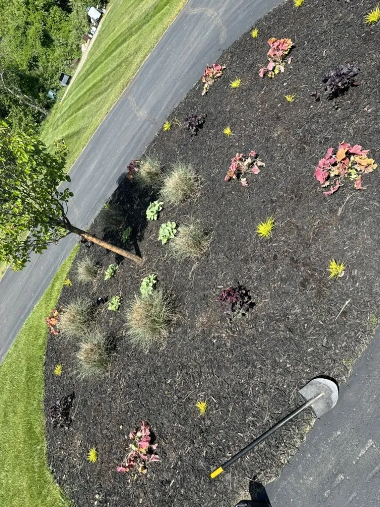 Custom garden landscaping for year-round maintenance in Ann Arbor, MI by The Garden Shark