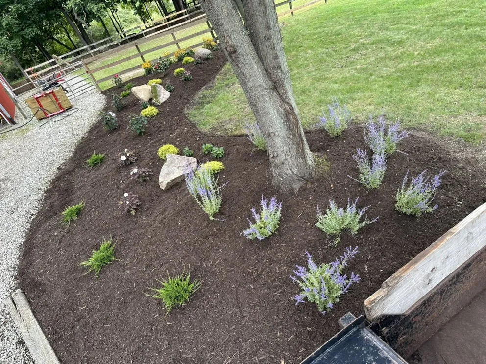 Professional lawn mowing service in Ann Arbor, MI - The Garden Shark