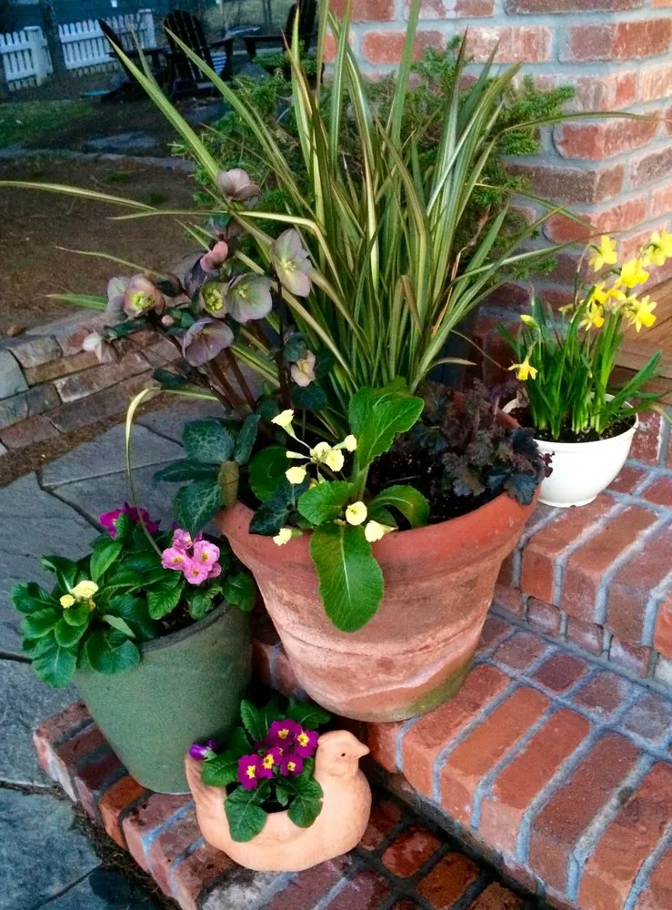 Affordable landscape design for beautiful yards in Bend, OR by The Garden Specialists