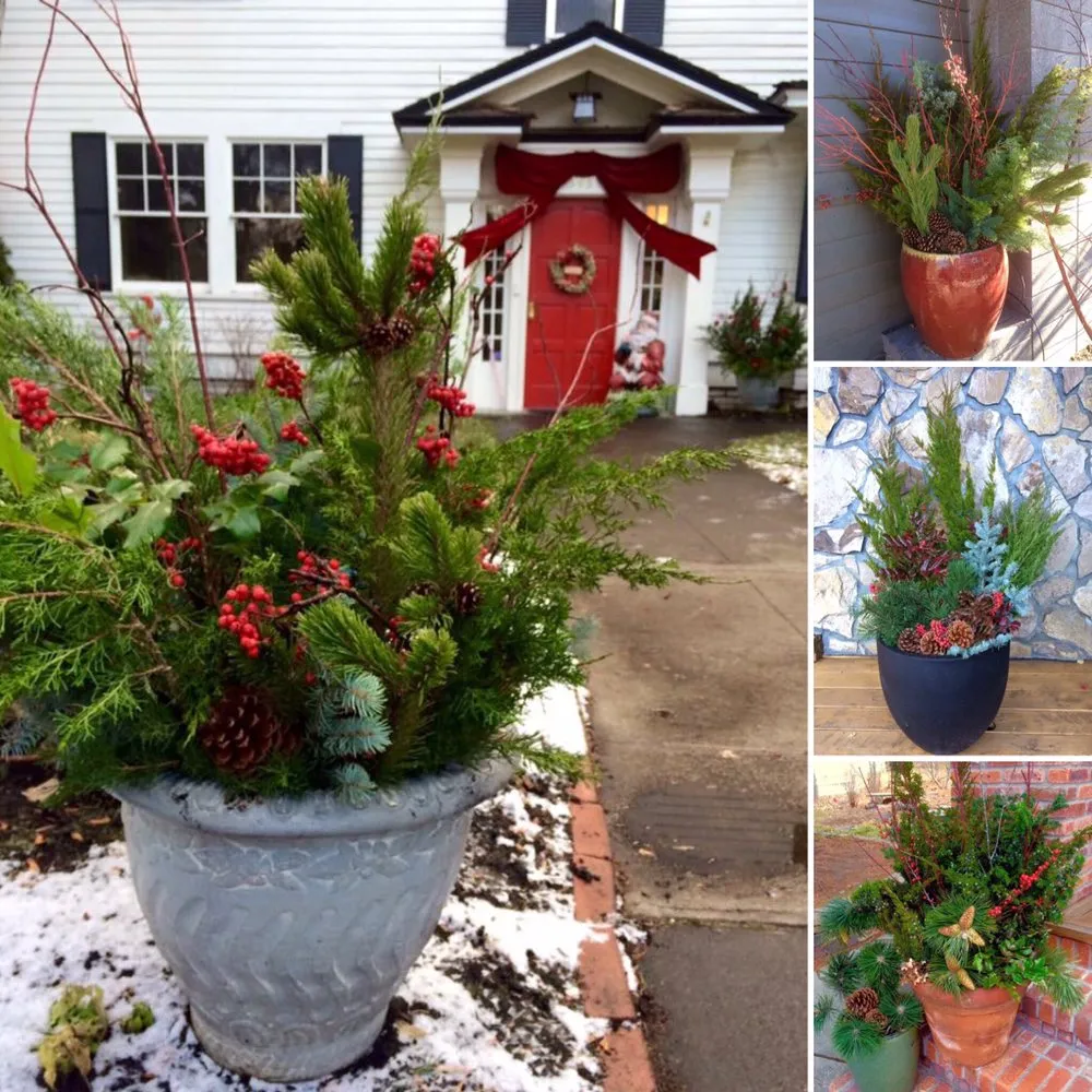 Affordable yard maintenance in Bend, OR by The Garden Specialists