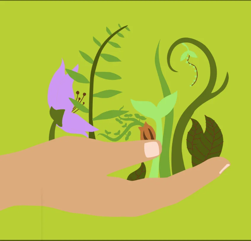 Local landscape design in Bend, OR - The Garden Specialists