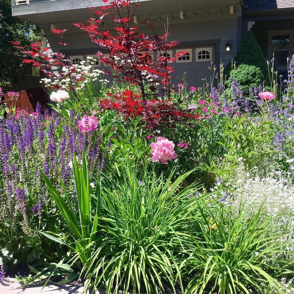 Affordable garden landscaping for beautiful yards across Bend, OR - The Garden Specialists