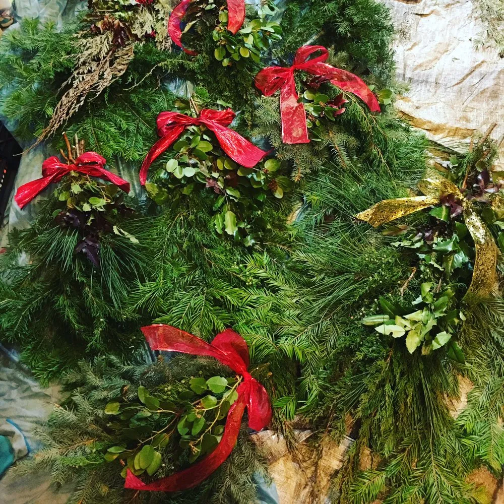 Reliable lawn care service for outdoor upgrades across Bend, OR - The Garden Specialists