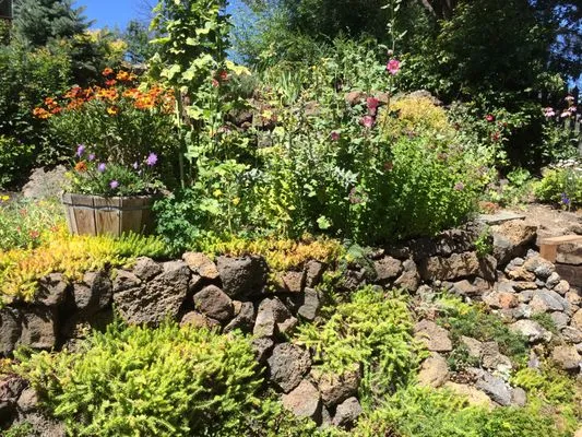 The Garden Specialists