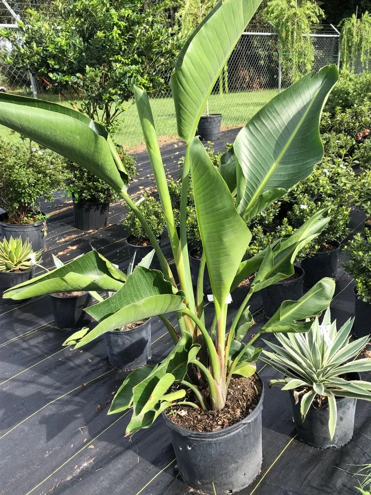 Trusted garden landscaping experts serving Ocala, FL - The Garden Spot of the Sunshine State