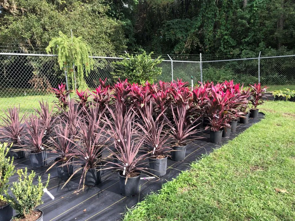 Custom lawn care service with custom design across Ocala, FL - The Garden Spot of the Sunshine State