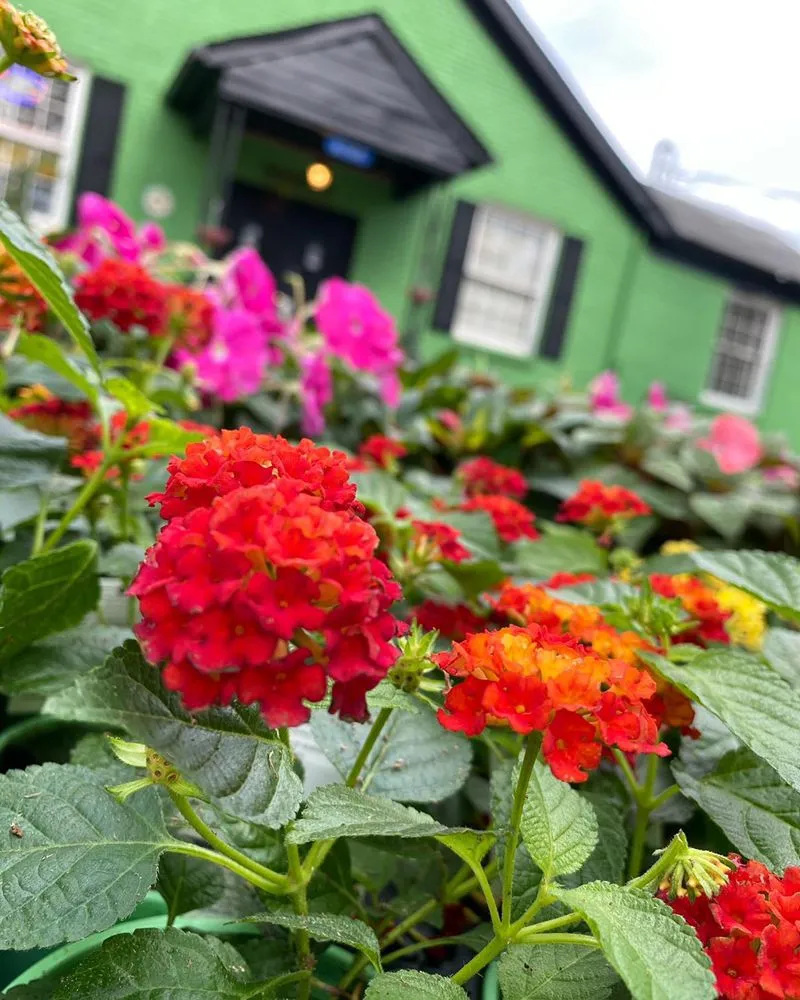 Reliable landscape installation with custom design across Nashville, TN - The Garden Stop