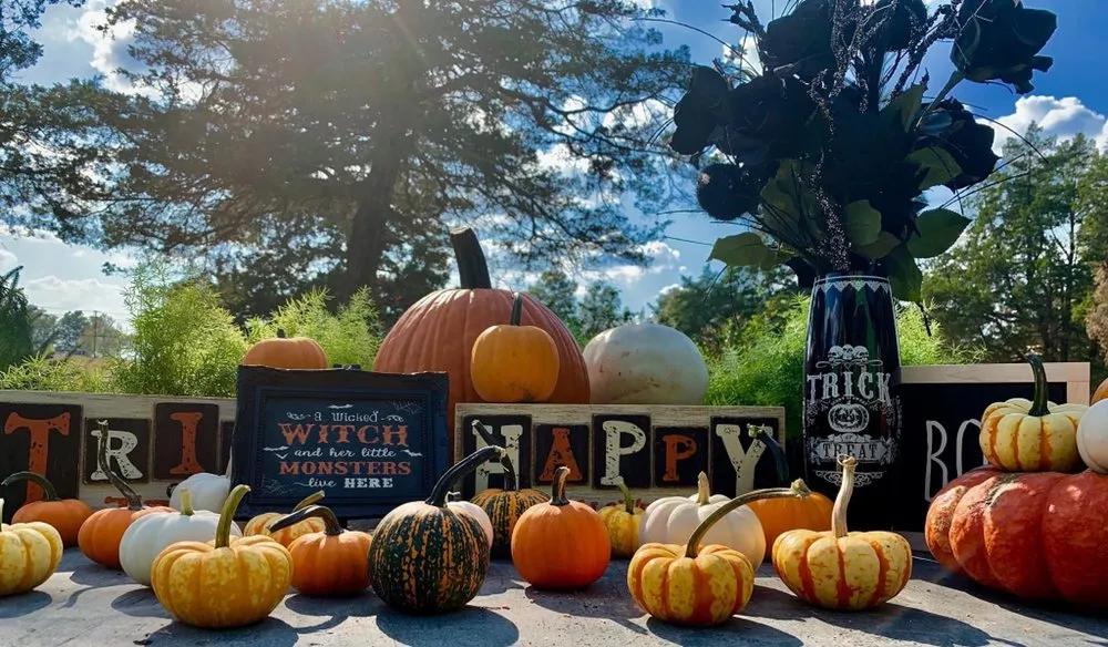 Expert landscape design experts serving Nashville, TN - The Garden Stop