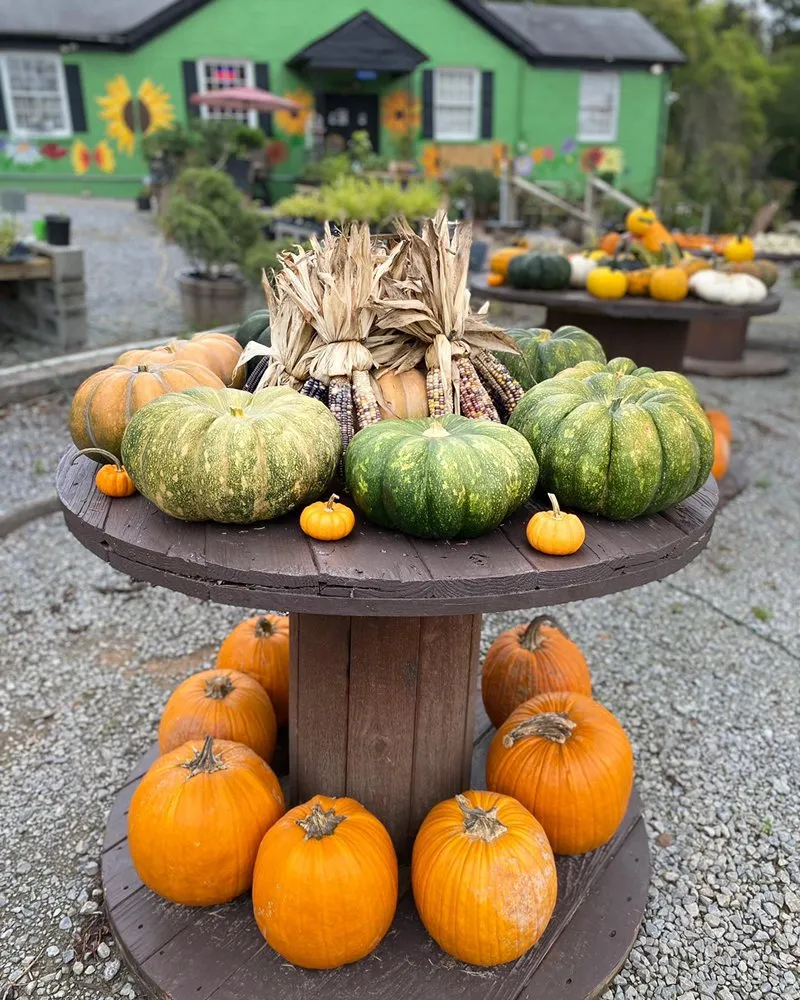 Trusted garden landscaping experts serving Nashville, TN - The Garden Stop