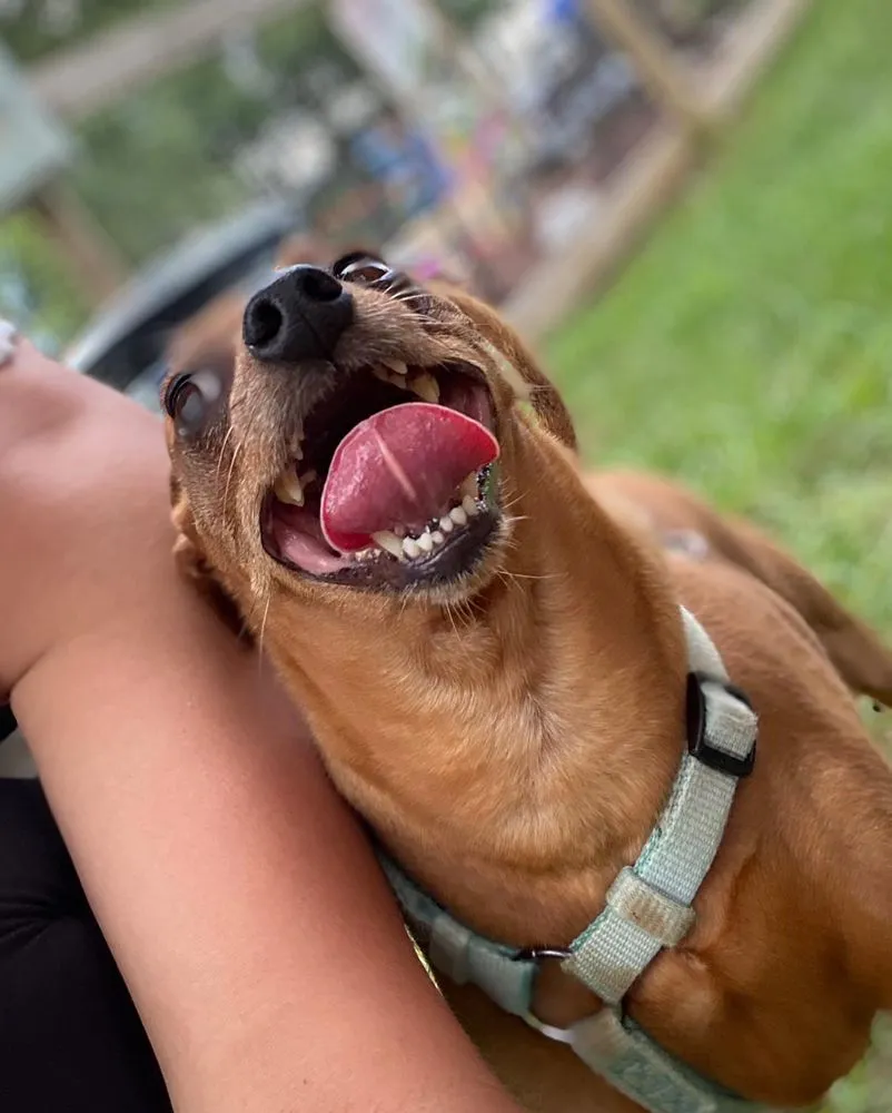 Affordable landscaping services for residential properties across Nashville, TN - The Garden Stop