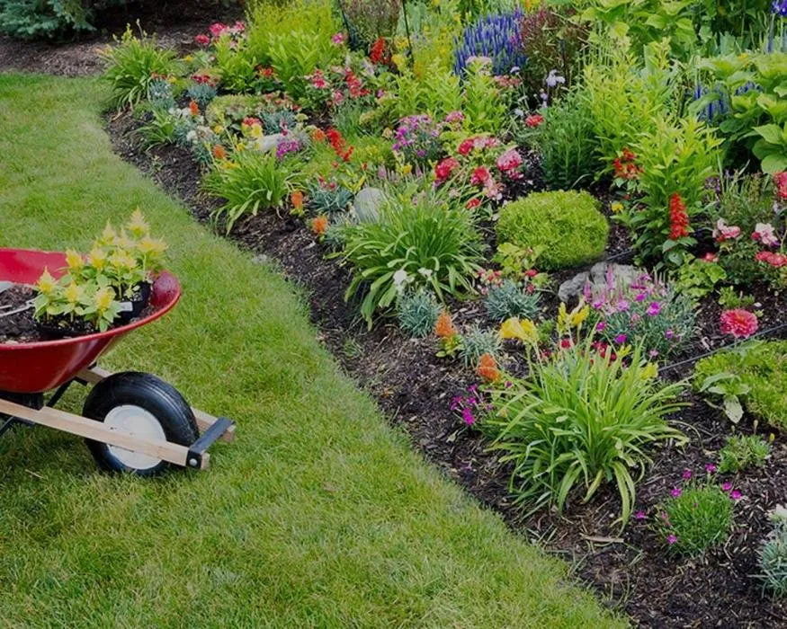 Expert lawn care service for year-round maintenance in Georgetown, TX by The Gardener