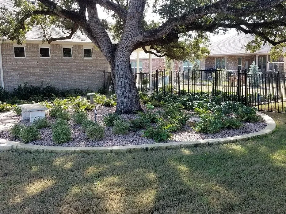 Expert lawn mowing service in Georgetown, TX by The Gardener