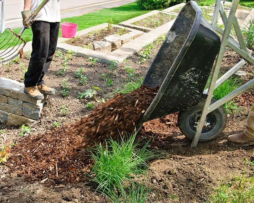 Professional landscape installation for residential properties across Georgetown, TX - The Gardener
