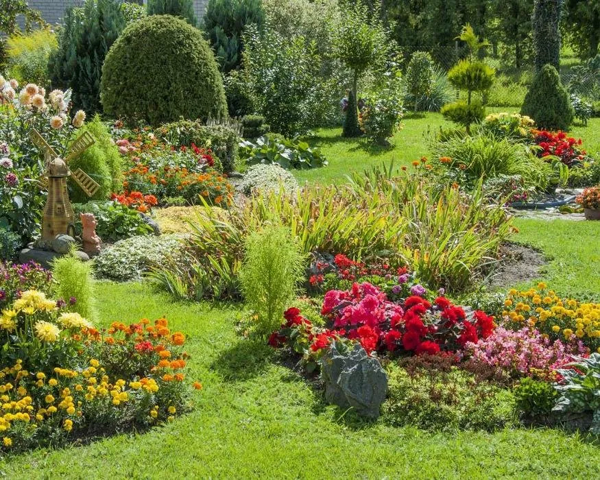 Trusted lawn care service with custom design in Georgetown, TX by The Gardener