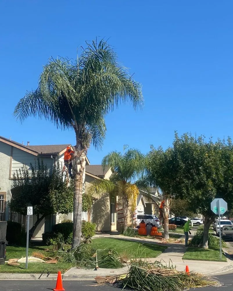 Custom landscaping services in Modesto, CA by The Gardener landscaping